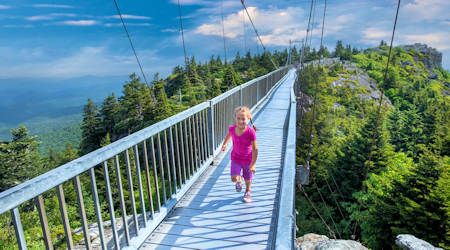 Swinging Bridge