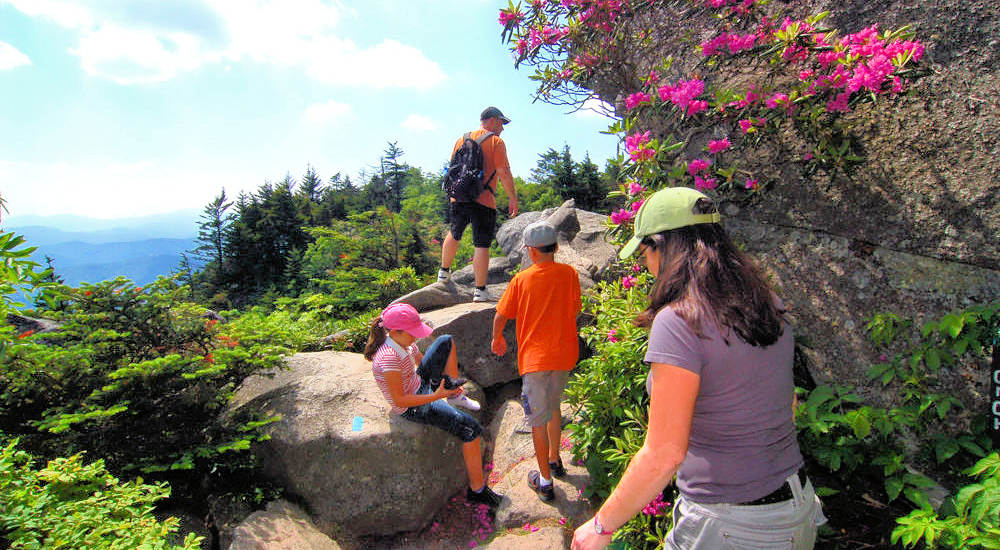 Families Hiking on Grandfather Mountain