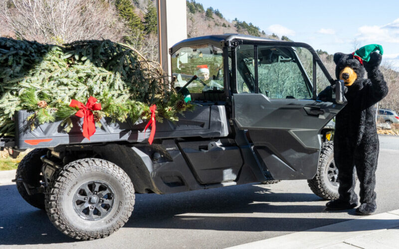 Holiday Tree Arrival