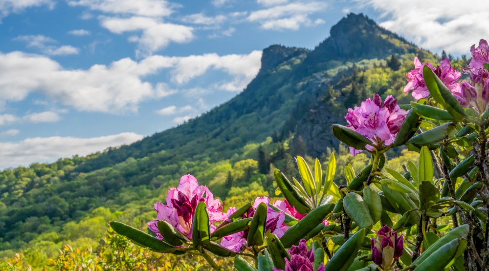 Half Moon Overlook | May 30