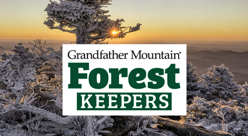 Forest Keepers