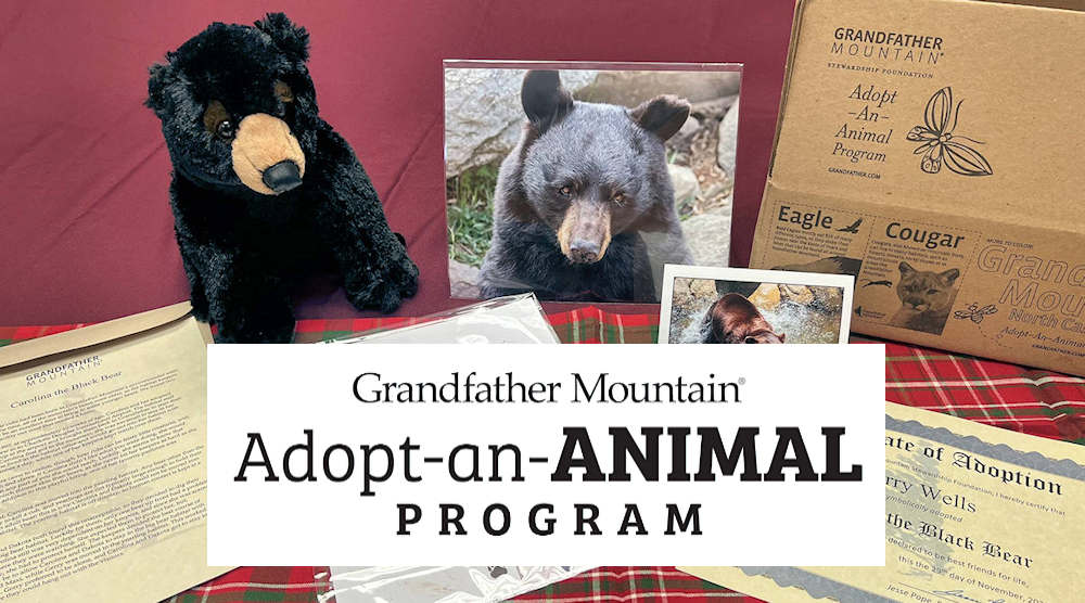 Adopt an Animal Grandfather Adopt an Animal Grandfather