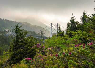 Swinging Bridge | June 17