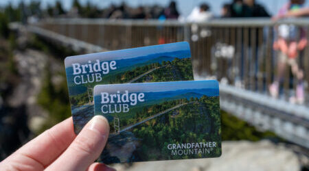 Bridge Club