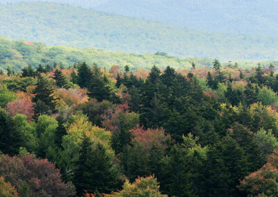 View from Scheer Bluff