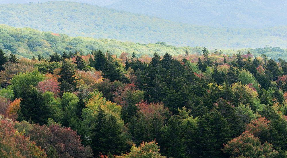 View from Scheer Bluff