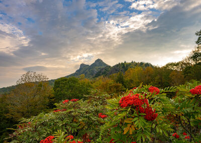 Half Moon Overlook