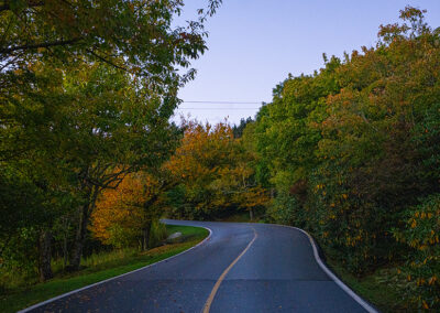 The Park Road