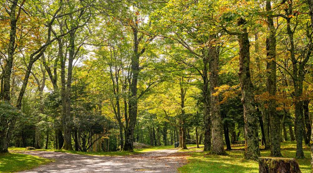 September 2025 Weather