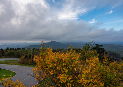 Witch Hazel at Forrest Gump Curve