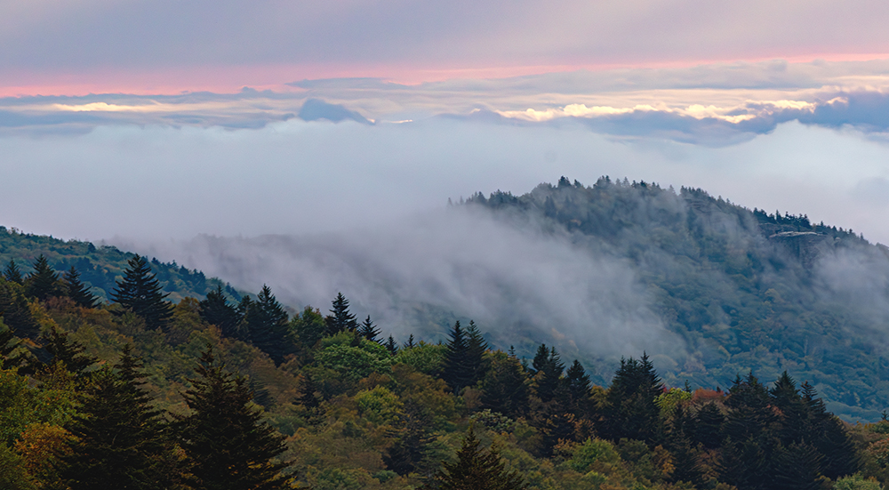 Rough Ridge from Top Shop
