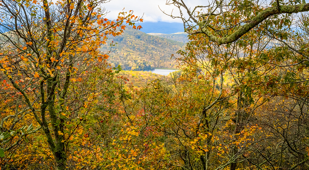 View of Grandmother Lake