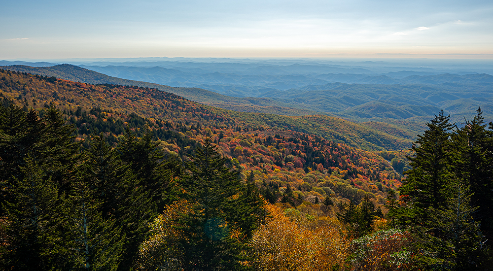Color from Bridge Area