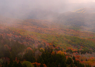 Foggy Morning on Grandfather