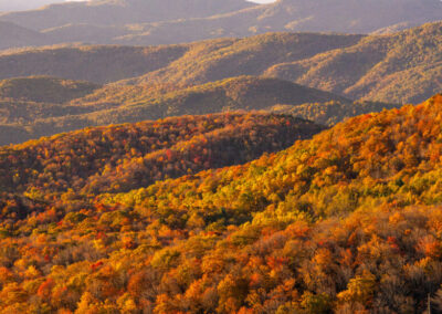 View from Beacon Heights