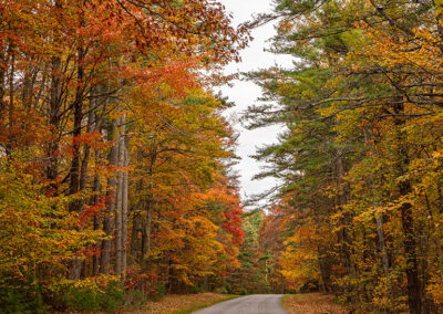 Parkway near Doughton Park