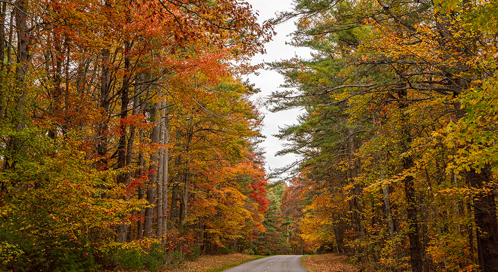 Parkway near Doughton Park