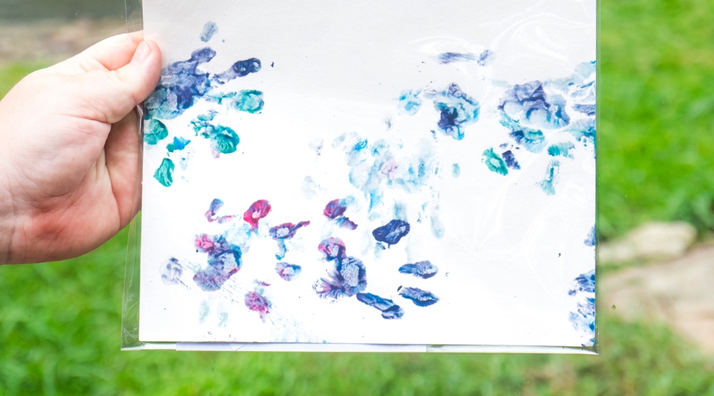 Paint with an Otter