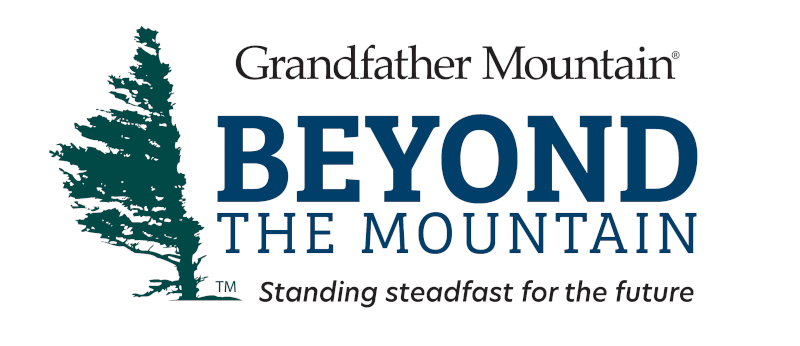 Fall Gallery Grandfather Mtn