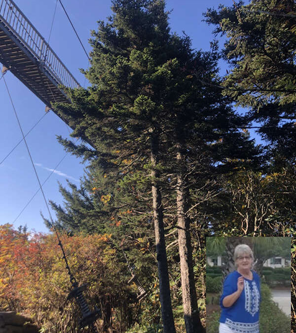 Given in loving memory by Ronnie, Michelle, Julie, Justin & Family