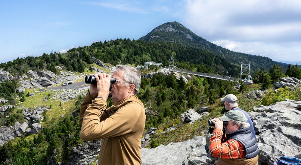 Grandfather Mountain Hawk Watch recap 2025