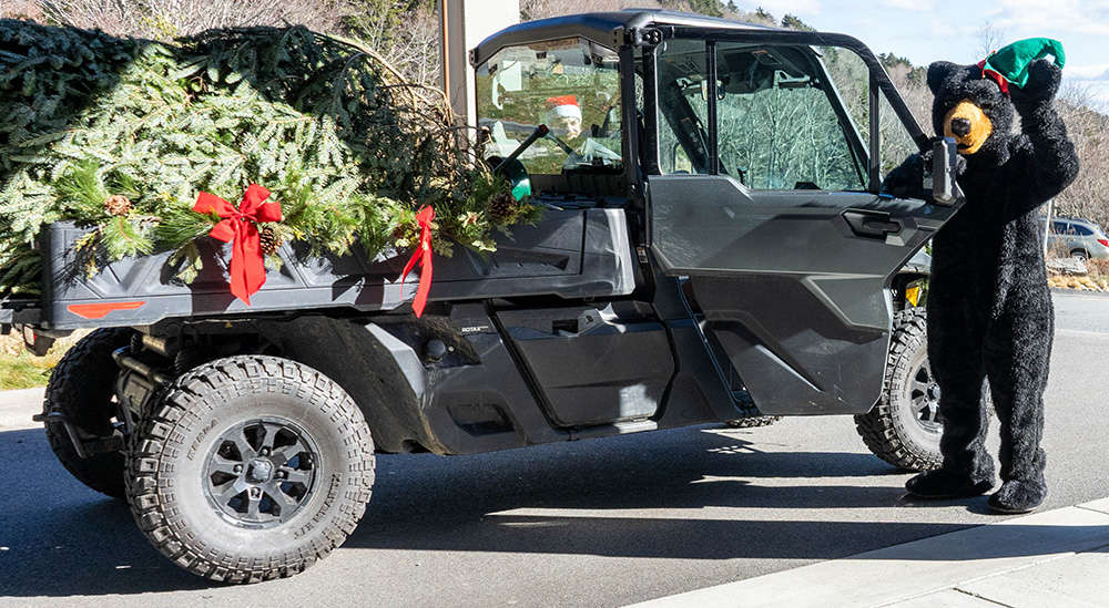 Holiday Season Grandfather Mountain