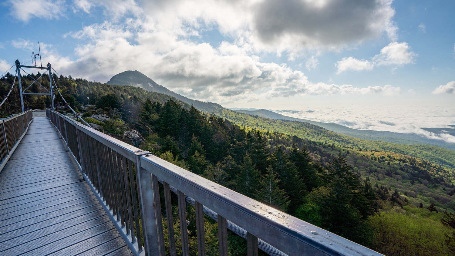 Grandfather Mountain Mile High Swinging Bridge in Summer 