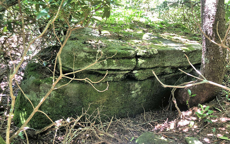 Linda Powell Featured Image