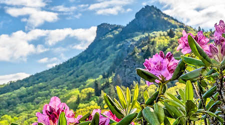 Spring Visits Grandfather