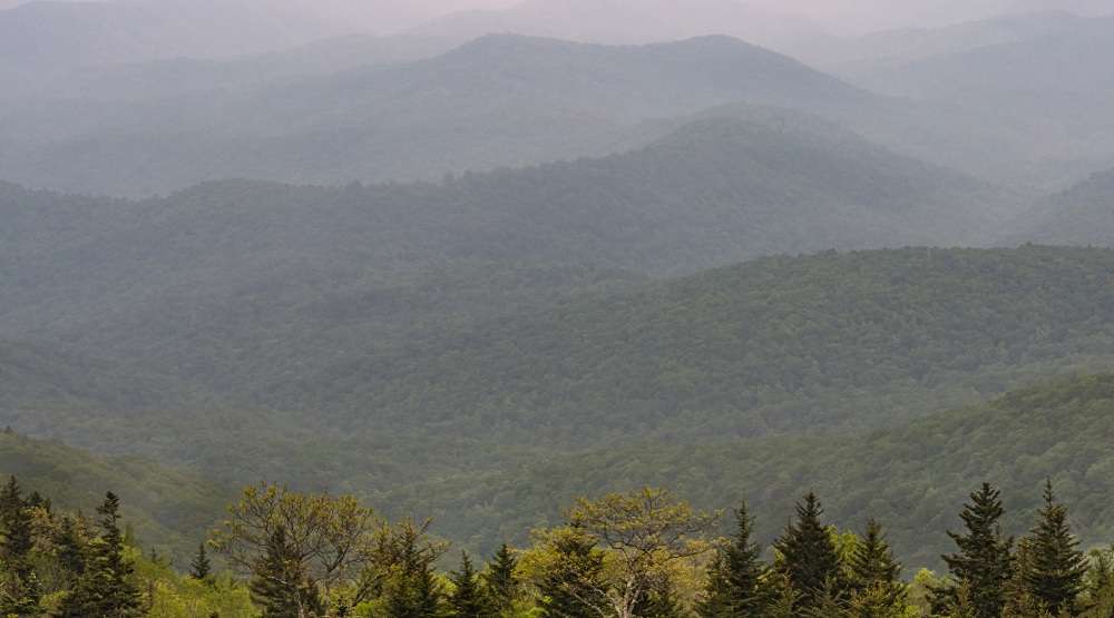 Grandfather Mountain’s 2025 Weather in Review