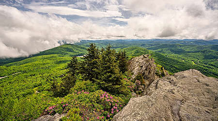 Grandfather View