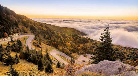 Fall Color Gallery