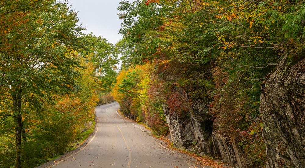 Grandfather Park Road