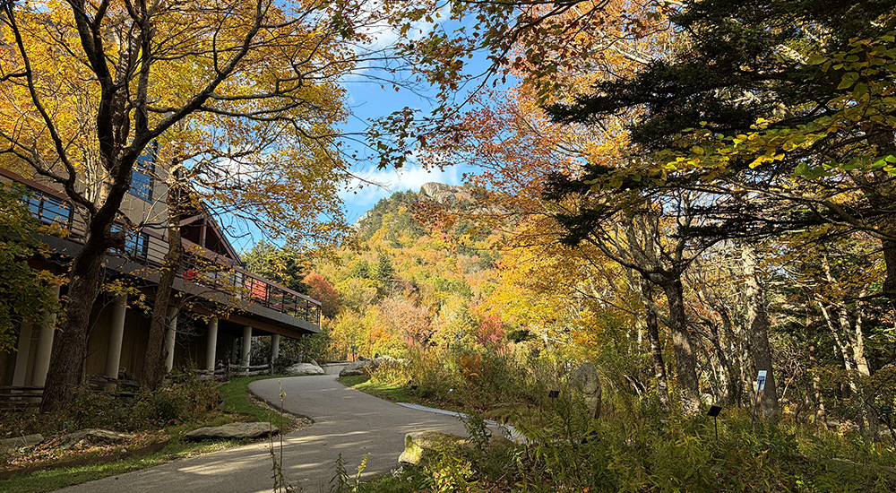 Cobey Botanical Garden