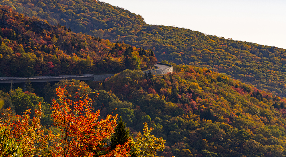 Autumn Parkway