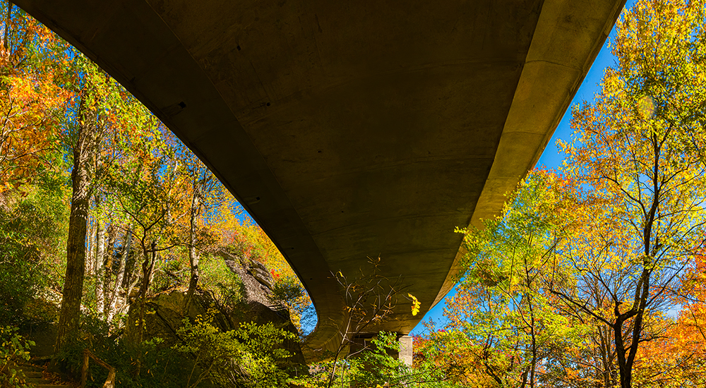 Under the Viaduct
