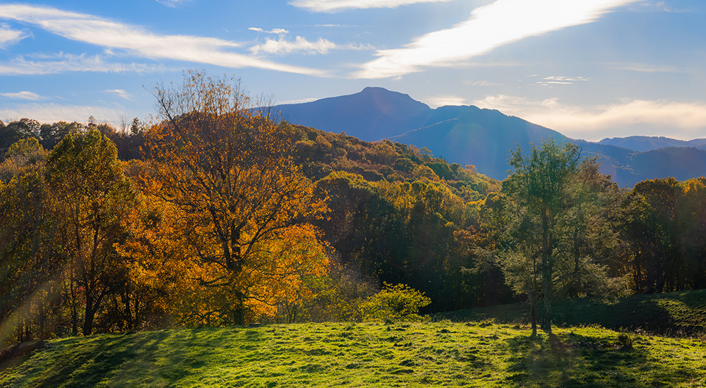 Mountains-to-Sea Trail