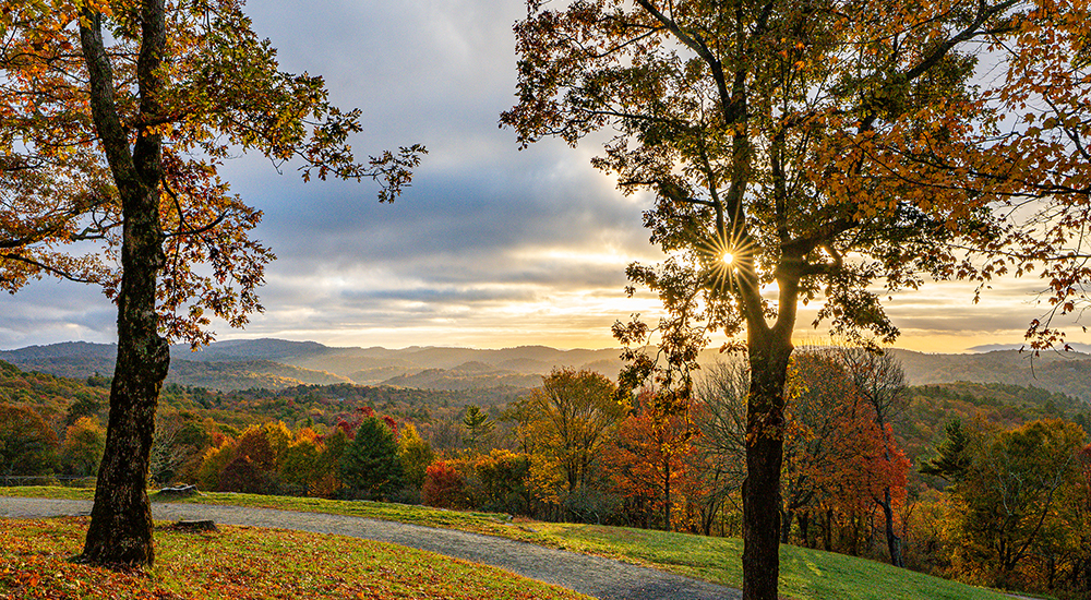 Moses Cone Memorial Park