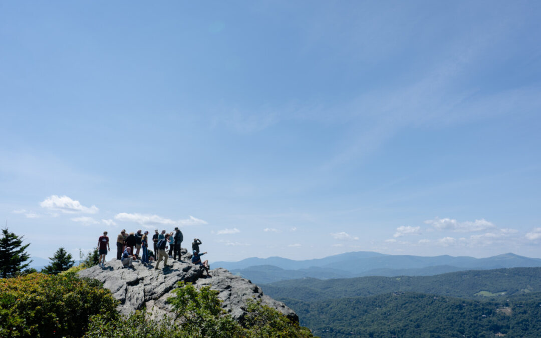 Results are in for Grandfather Mountain’s 2026 Hawk Watch